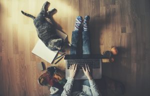 working from home with pets and laptop